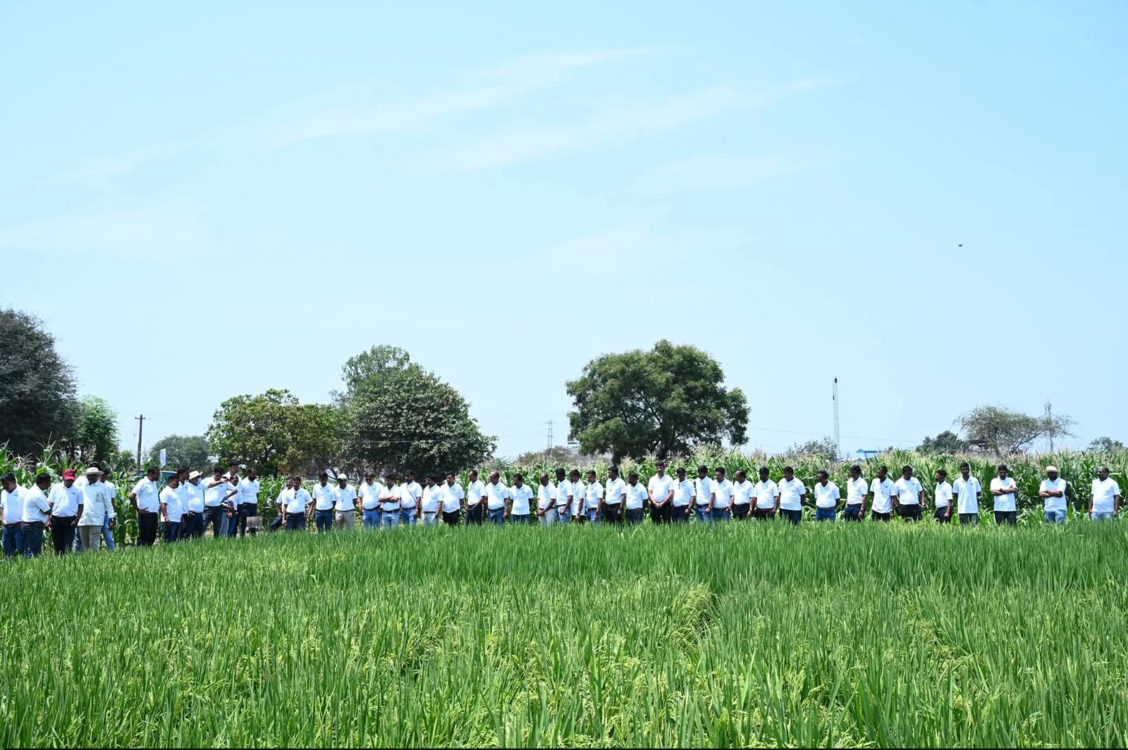 Maharashtra & MP team at paddy field - group photo