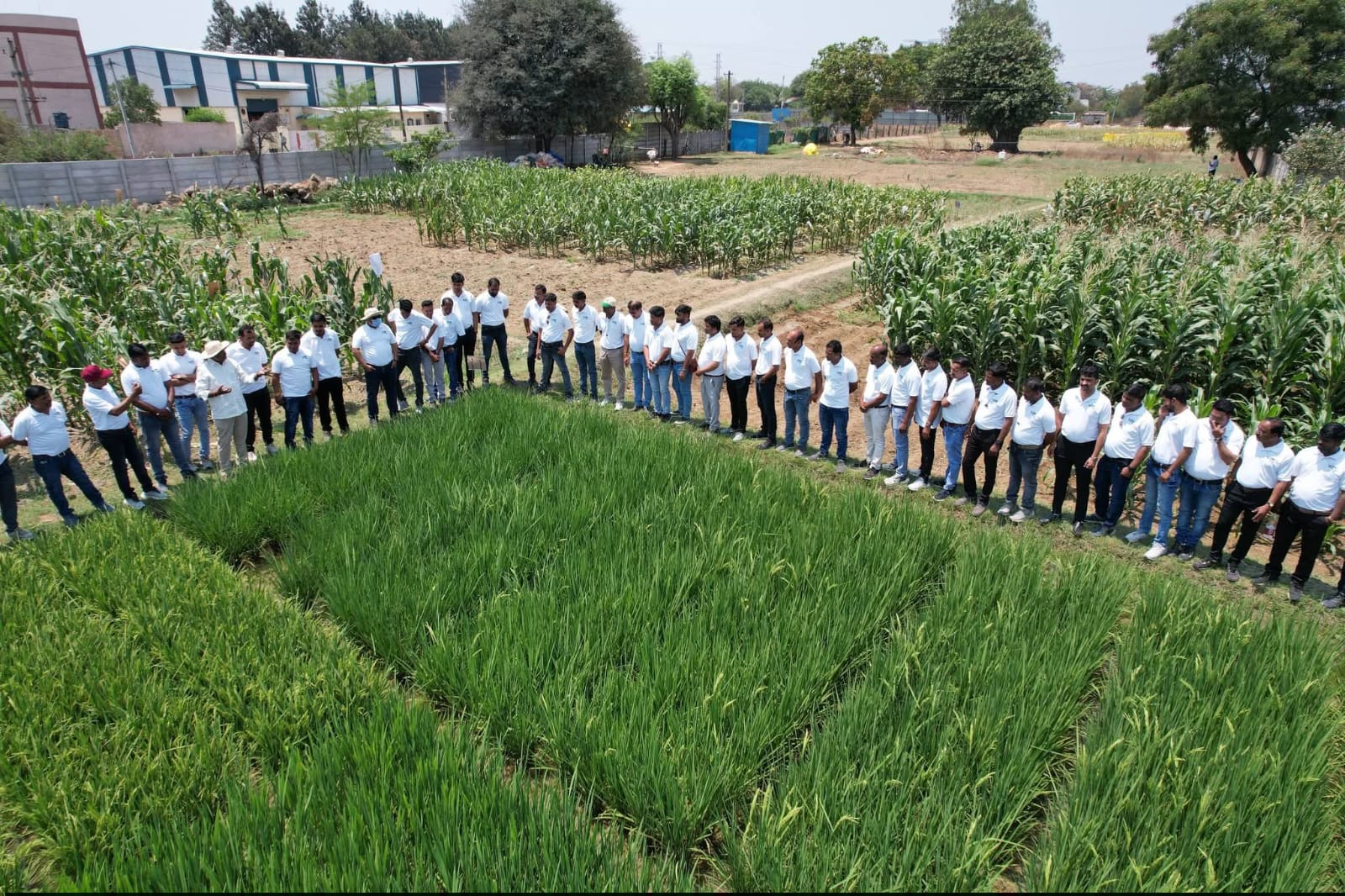 Team surrounding paddy & maize mixed trial plots