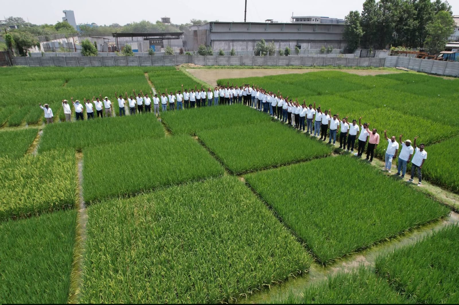 Team visit at R&D paddy field - aerial view