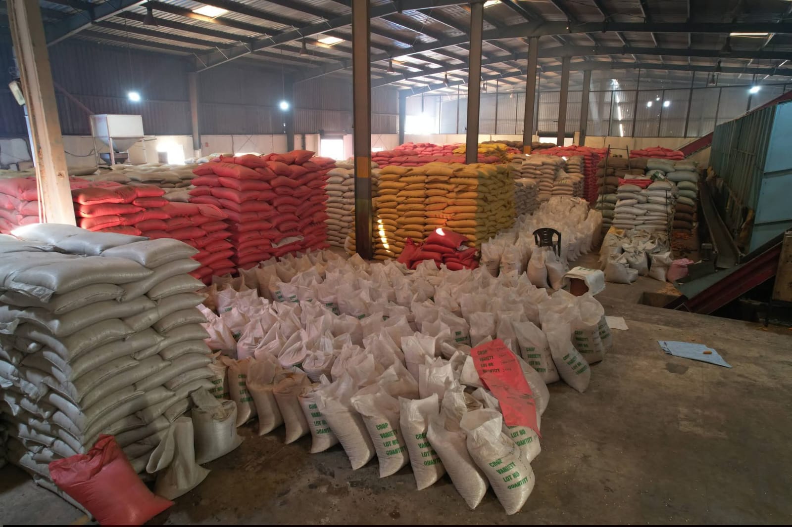 Seeds stock inside warehouse — colorful packed bags