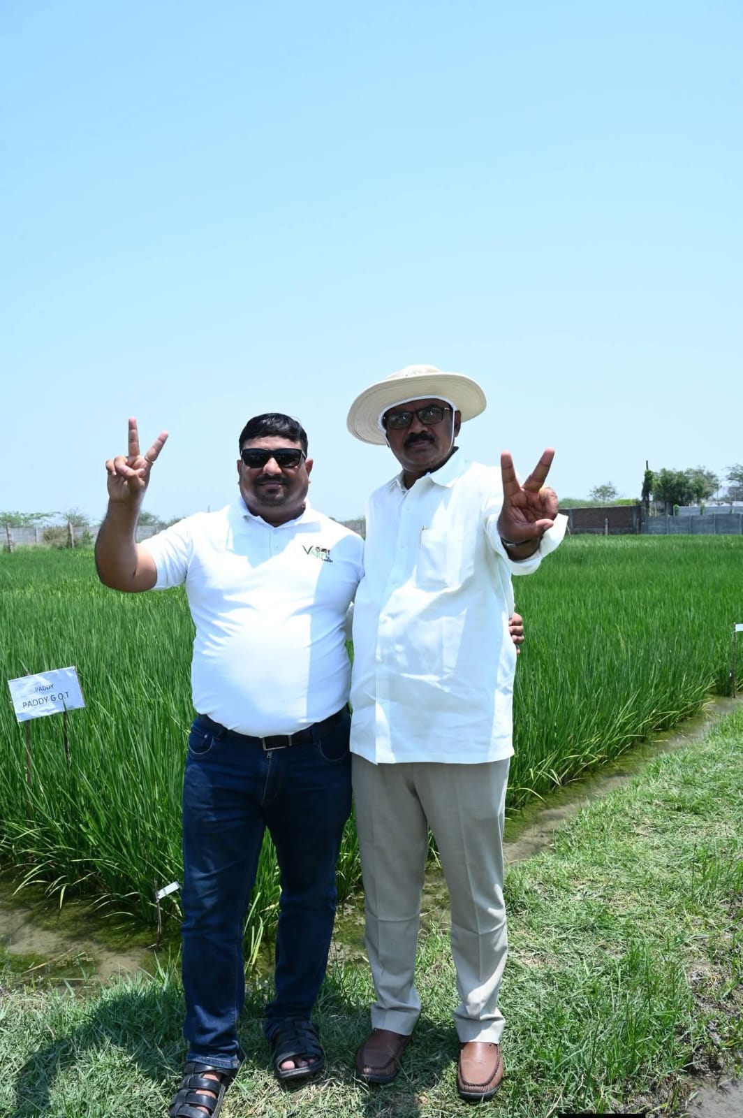 Team at paddy R&D field inspection