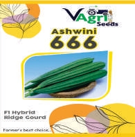ASHWINI-666 (Ridge Gourd)