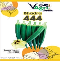 BHADRA-444 (Bhendi)