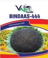 BINDAAS-444