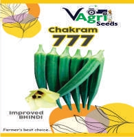 CHAKRAM-777 (Bhendi)