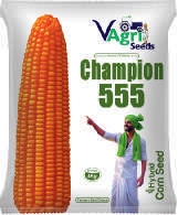 CHAMPION-555
