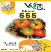 DHONI-555 (Tomato)