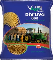 DHRUVA-333