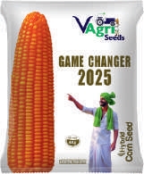 GAME CHANGER-2025