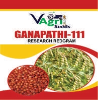 GANAPATHI-111