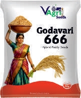 GODAVARI-666