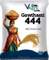 GOWTHAMI-444