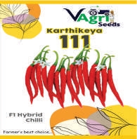 KARTHIKEYA-111 (Chilli)