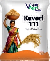 KAVERI-111