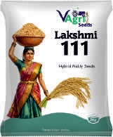 LAKSHMI-111