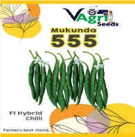 MUKUNDA-555 (Chilli)