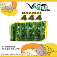 NANDINI-444 (Ridge Gourd)