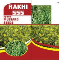 RAKHI-555