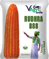 RUDHRA-888
