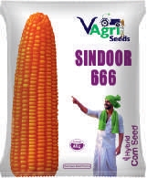 SINDOOR-666