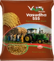 VASUDHA-555