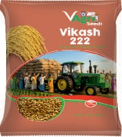 VIKASH-222