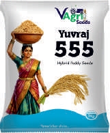 YUVRAJ-555
