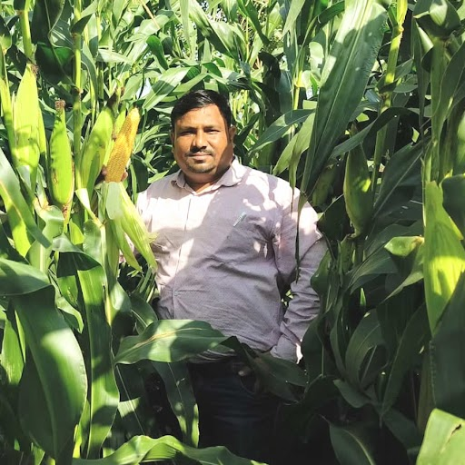 Nilesh Janardhan Bhosale