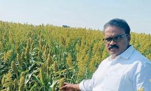 B. Sreenivasula Reddy